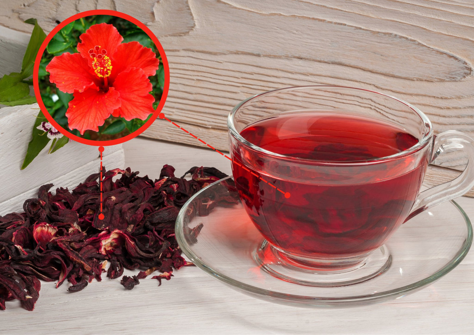 discover-the-blood-pressure-lowering-benefits-of-hibiscus-tea-120-life